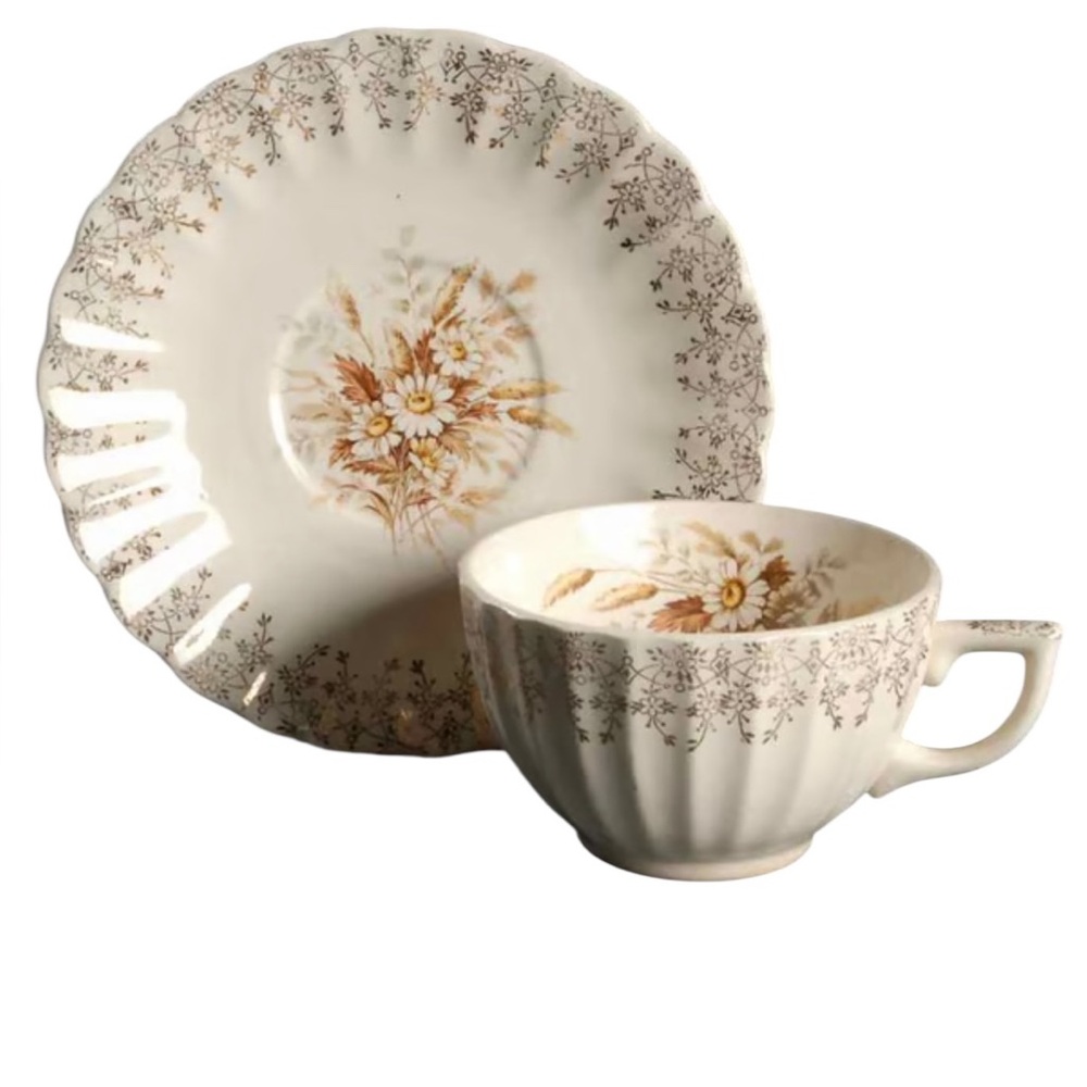 Vintage Sundale by LIMOGES-AMERICAN coffee cup and saucer.